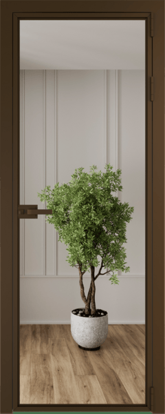 Алюминиевая дверь Profil Doors Orange 1AX.O Зеркало Деорэ
