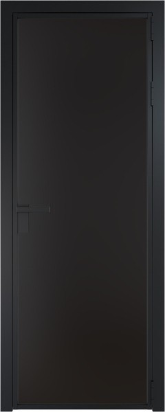 Алюминиевая дверь Profil Doors 1 AG Черный матовый RAL9005 Монохром черный