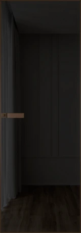 Алюминиевая дверь Profil Doors 1AGN Деорэ Черное тонированное