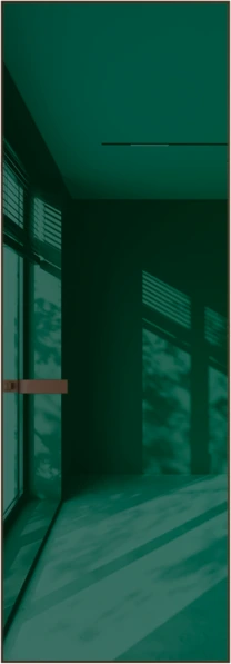 Алюминиевая дверь Profil Doors 1AGN ГЛЯНЕЦ Деорэ Зеленый лес лак
