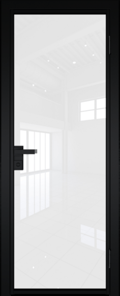 Алюминиевая дверь Profil Doors 1 AG Черный матовый RAL9005 Белый триплекс