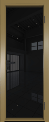 Алюминиевая дверь Profil Doors 1 AG Золото Черный триплекс