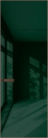 Алюминиевая дверь Profil Doors 1AGN ГЛЯНЕЦ Деорэ Темно-зеленый лак