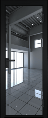 Алюминиевая дверь Profil Doors 1 AG Черный матовый RAL9005 Зеркало