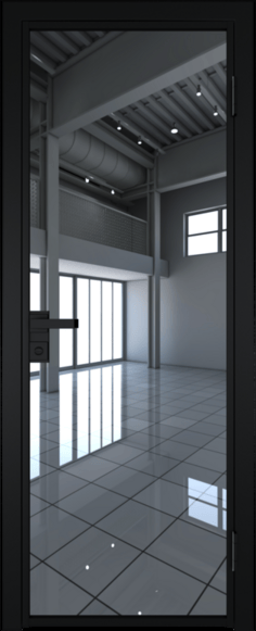 Алюминиевая дверь Profil Doors 1 AG Черный матовый RAL9005 Зеркало