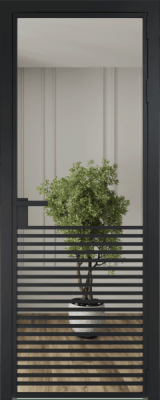 Алюминиевая дверь Profil Doors 16 AG Черный матовый Зеркало