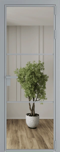Алюминиевая дверь Profil Doors 13 AG Серебро Зеркало