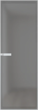 Алюминиевая дверь Profil Doors 1AGN Вайт Иней графит
