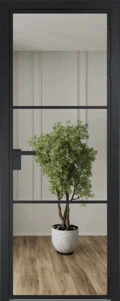 Алюминиевая дверь Profil Doors 13 AG Черный матовый Зеркало