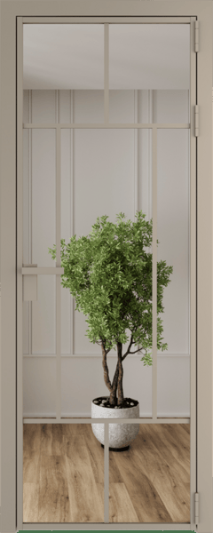 Алюминиевая дверь Profil Doors 10 AG Никель матовый Зеркало