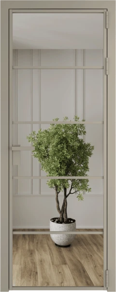 Алюминиевая дверь Profil Doors 14 AG Никель матовый Зеркало