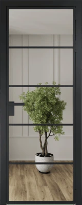 Алюминиевая дверь Profil Doors 14 AG Черный матовый Зеркало