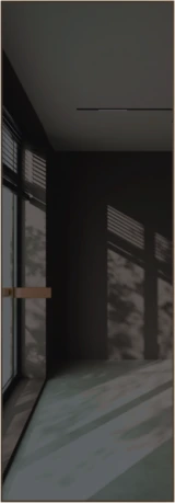 Алюминиевая дверь Profil Doors 1AGN ГЛЯНЕЦ Деорэ Графит лак